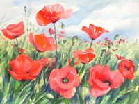 -mohn,wiesegCIMG2920_1